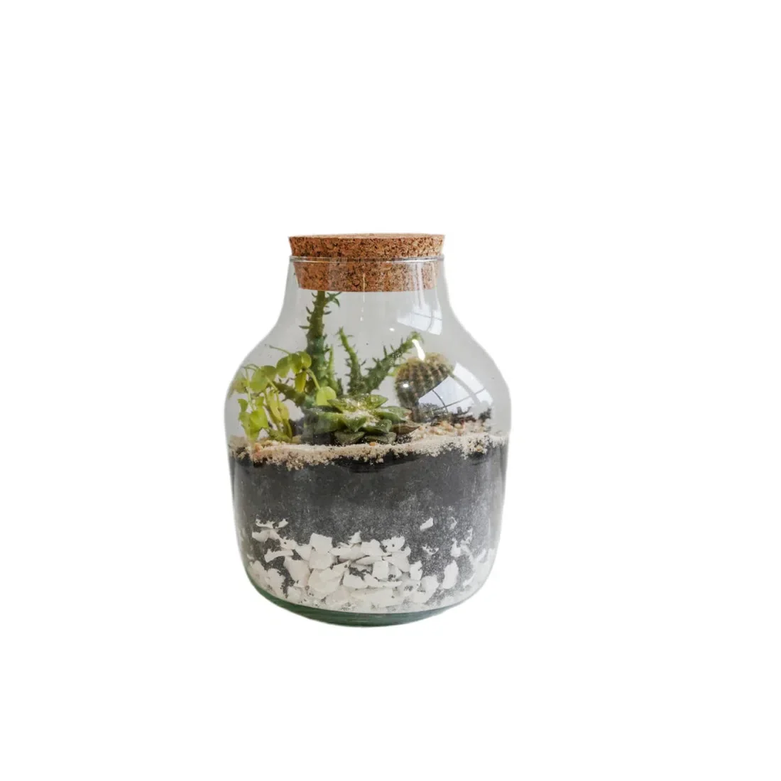 Ivyline Angular Glass Small Terrarium DIY Kit