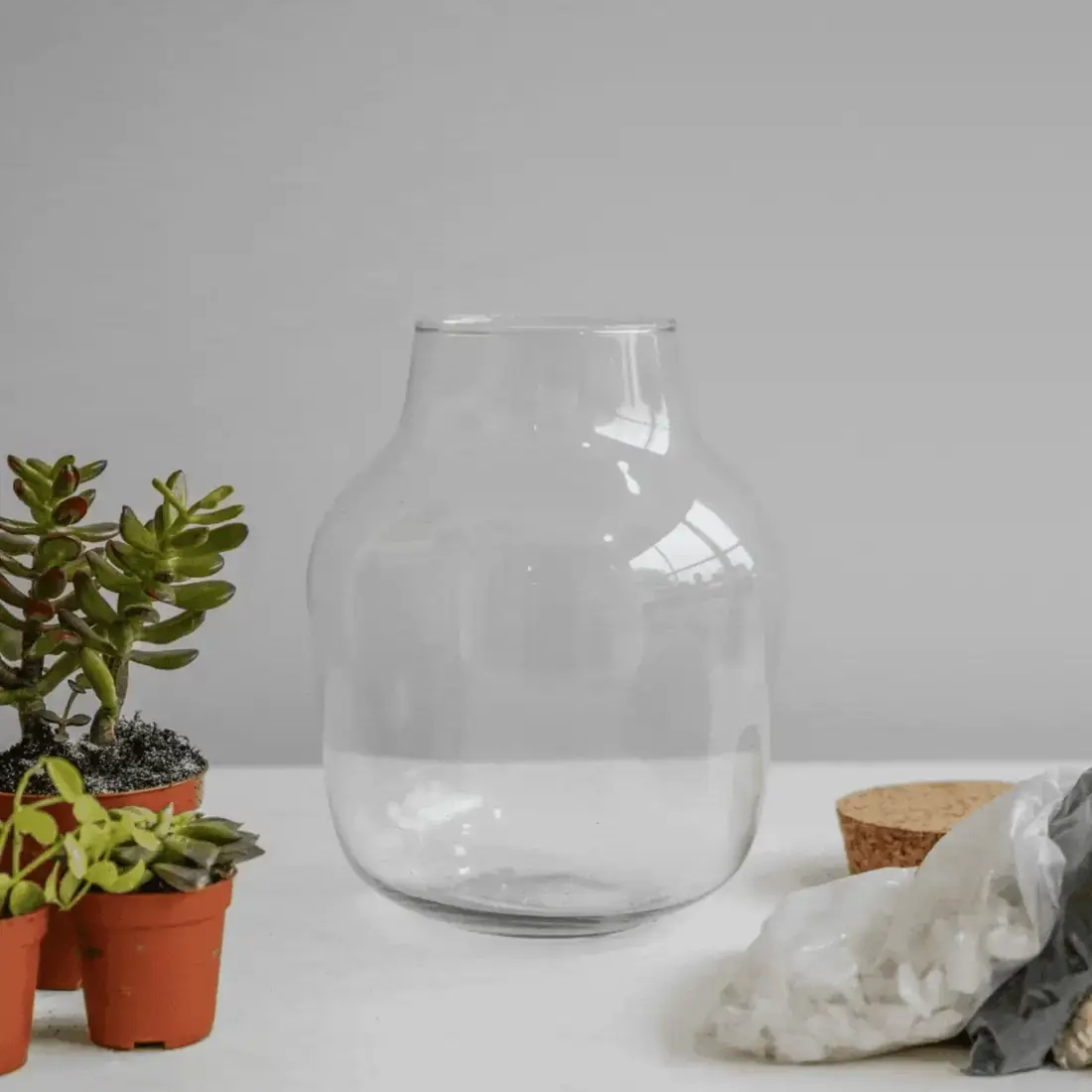 Ivyline Angular Glass Small Terrarium DIY Kit - Image 3