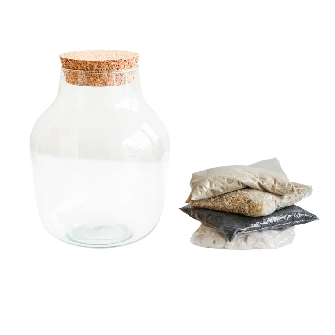 Ivyline Angular Glass Small Terrarium DIY Kit - Image 4