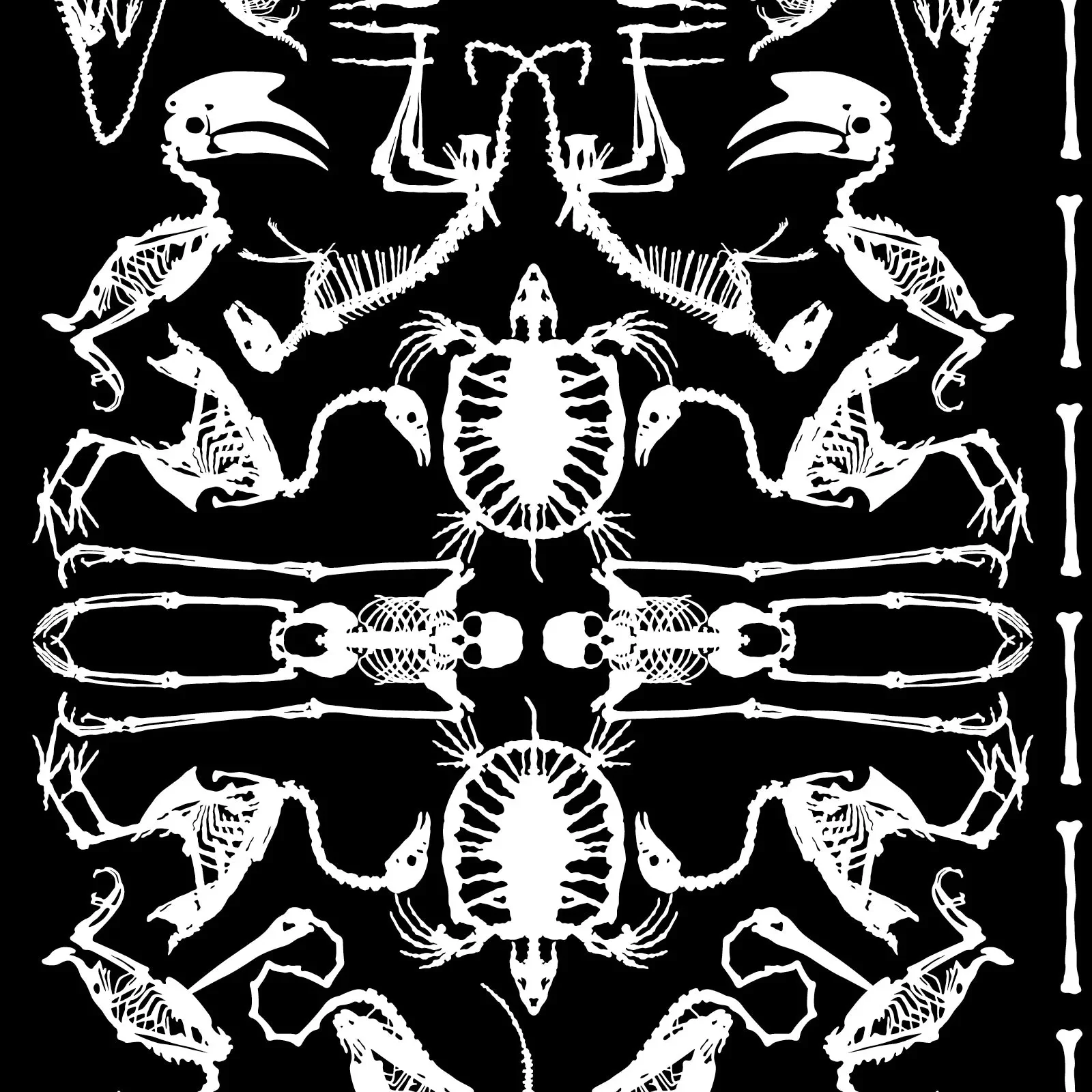 NLXL Perished Archives Wallpaper - Image 3