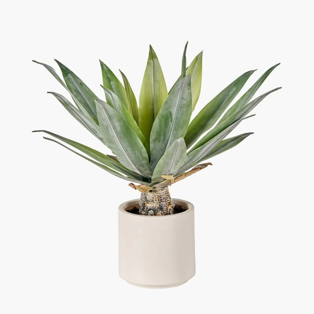 Pacific Lifestyle Agave Plant in Pot - Image 3