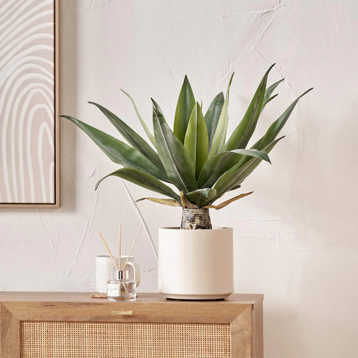 Pacific Lifestyle Agave Plant in Pot - Image 7