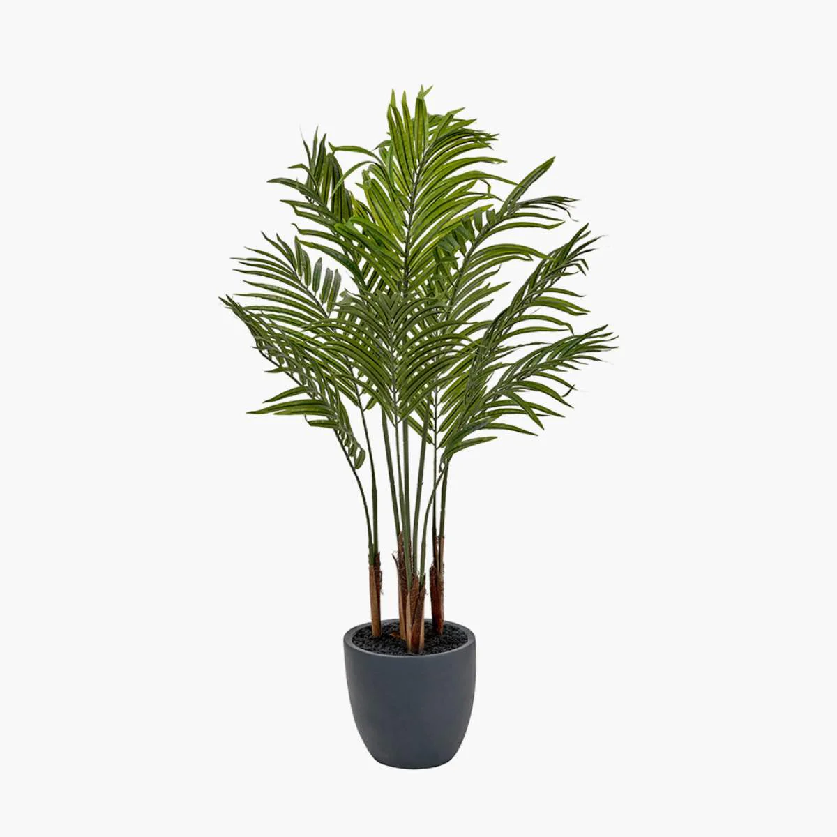 Pacific Lifestyle Areca Palm Plant in Pot - Image 2