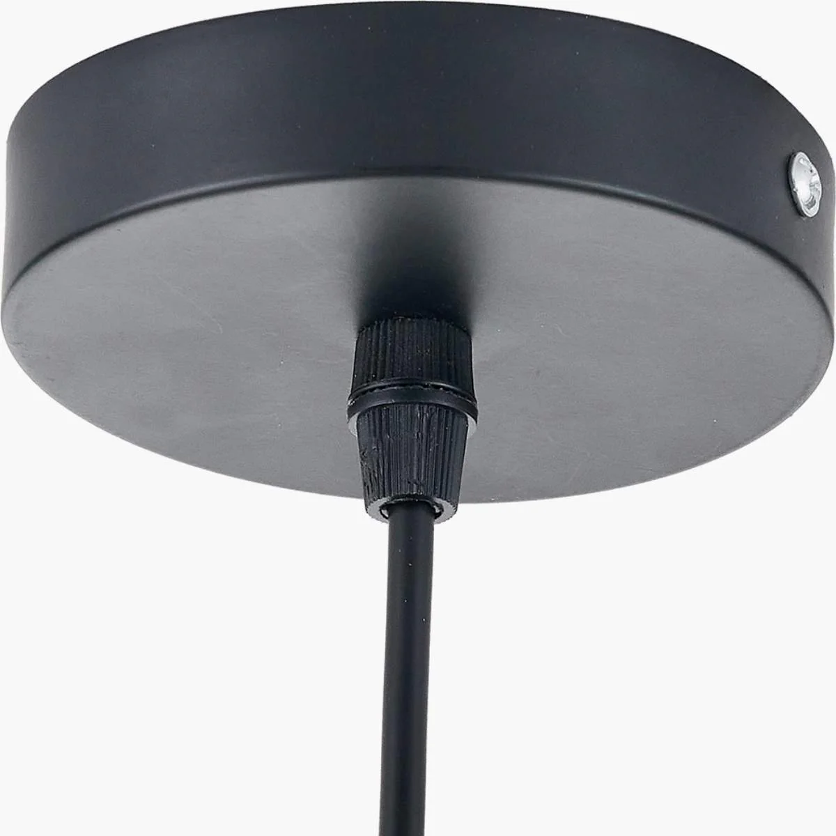 Pacific Lifestyle Lucien Tortoiseshell Glass Pendant - Image 7