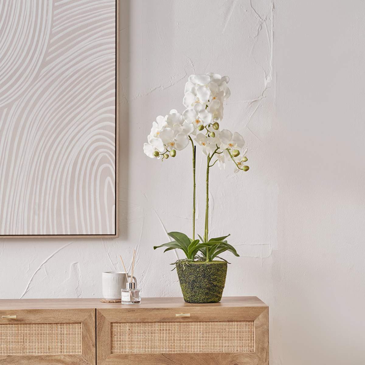 Pacific Lifestyle Medium White Orchid in Moss Pot - Image 7