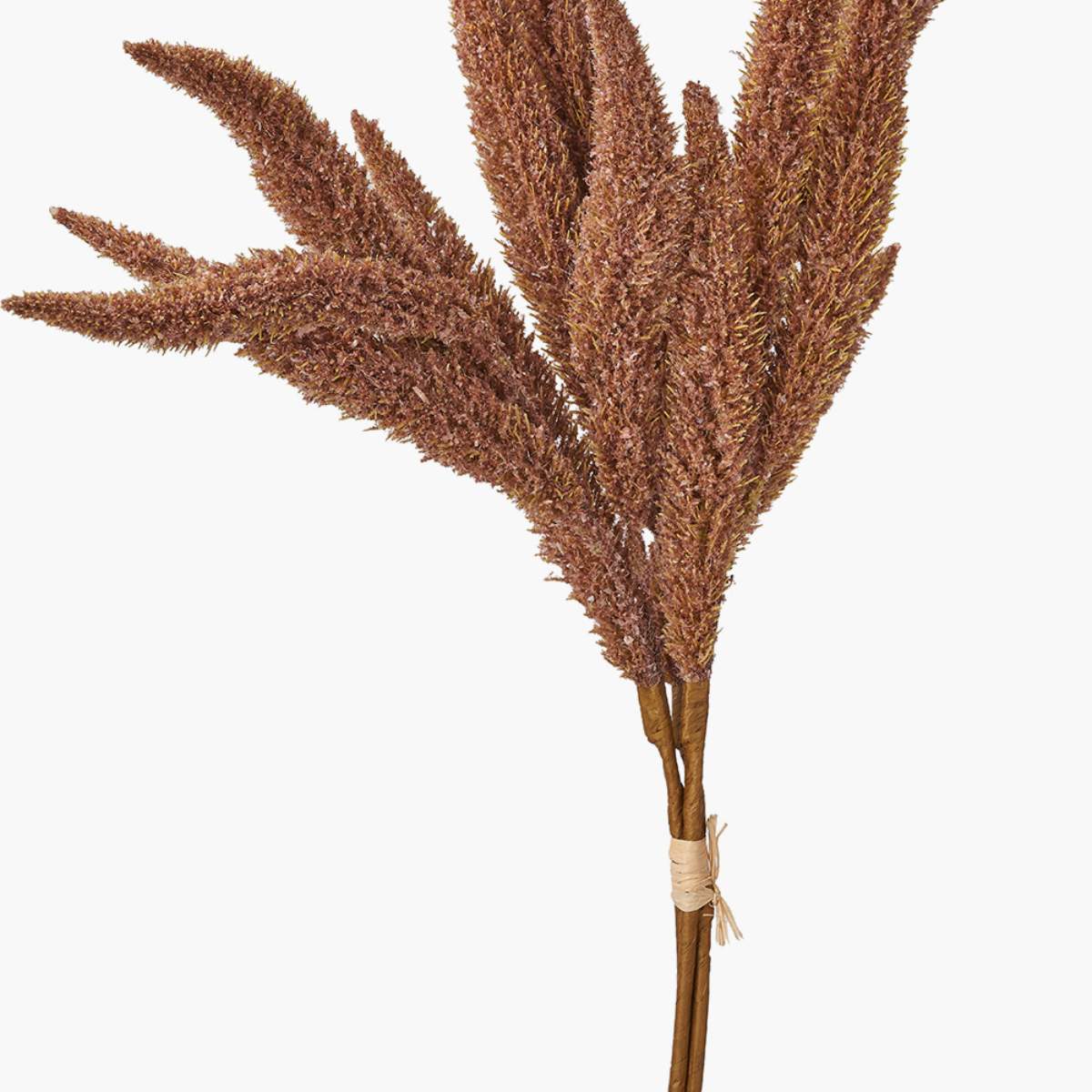 Pacific Lifestyle Mulberry Brown Foxtail Hand-Tied 3 Stem Bundle Pack of 6 - Image 3