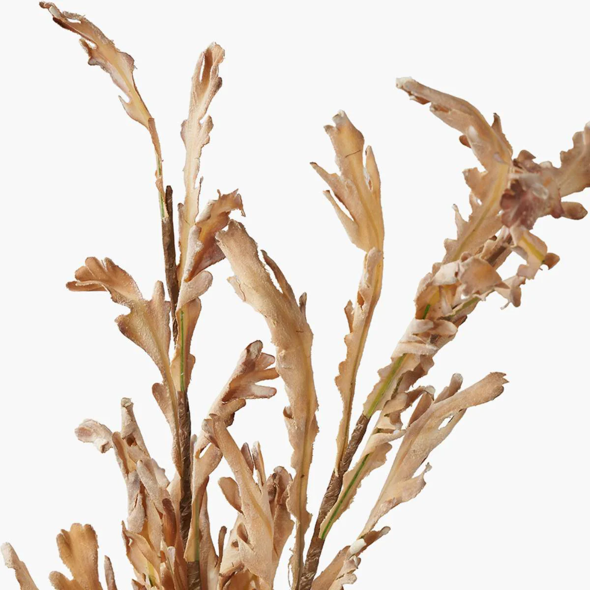 Pacific Lifestyle Natural Apricot Autumn Leaf Pack of 6 - Image 3