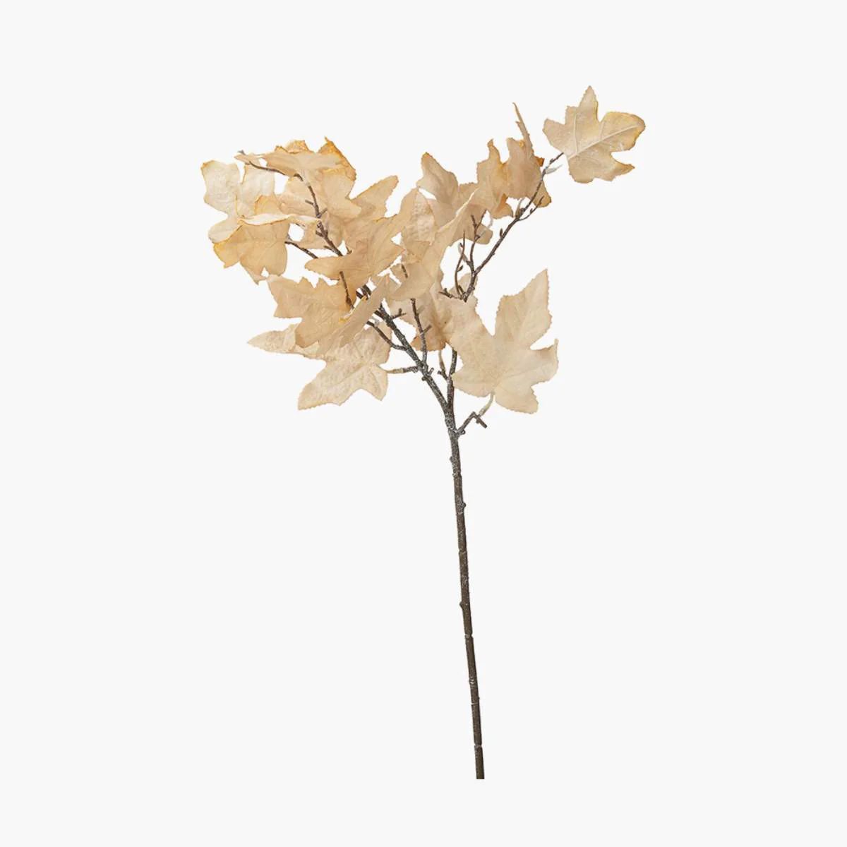 Pacific Lifestyle Natural Apricot Maple Leaf Pack of 6 - Image 3