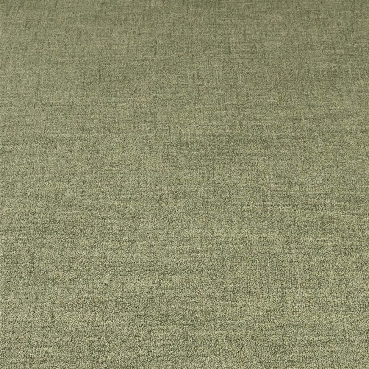 Bold Monkey Carpet Sugar Lines - Image 2