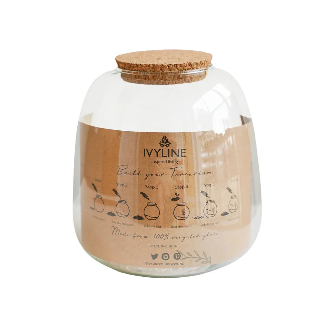 Ivyline Bowl Shape Terrarium DIY Kit - Image 2