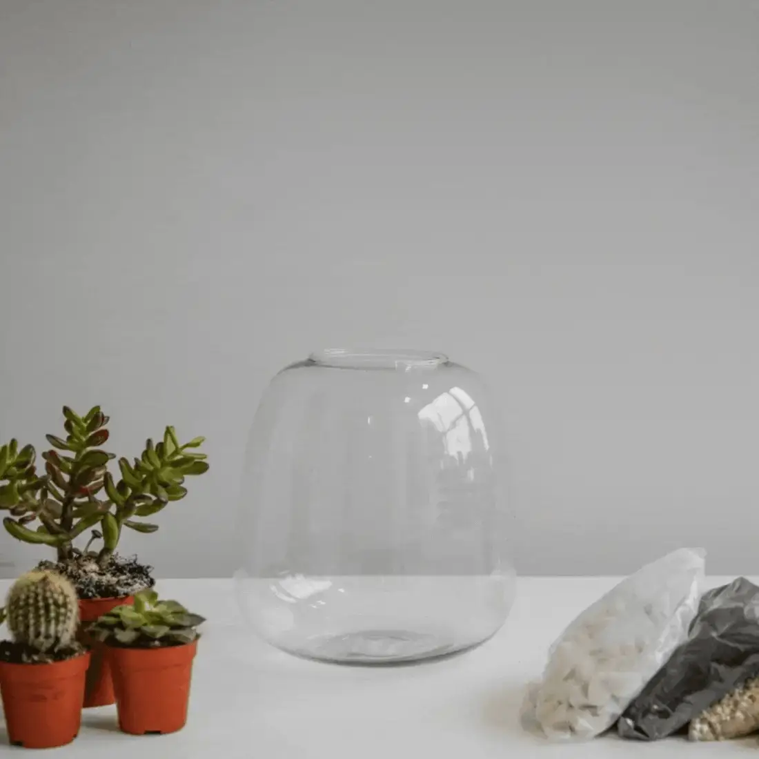 Ivyline Bowl Shape Terrarium DIY Kit - Image 5