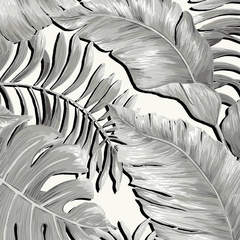Brand McKenzie Banana Leaves Max Black & White Wallpaper