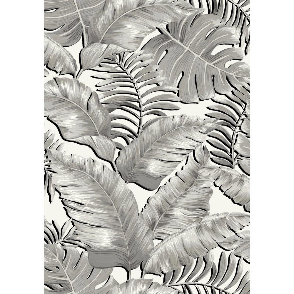 Brand McKenzie Banana Leaves Max Black & White Wallpaper - Image 3