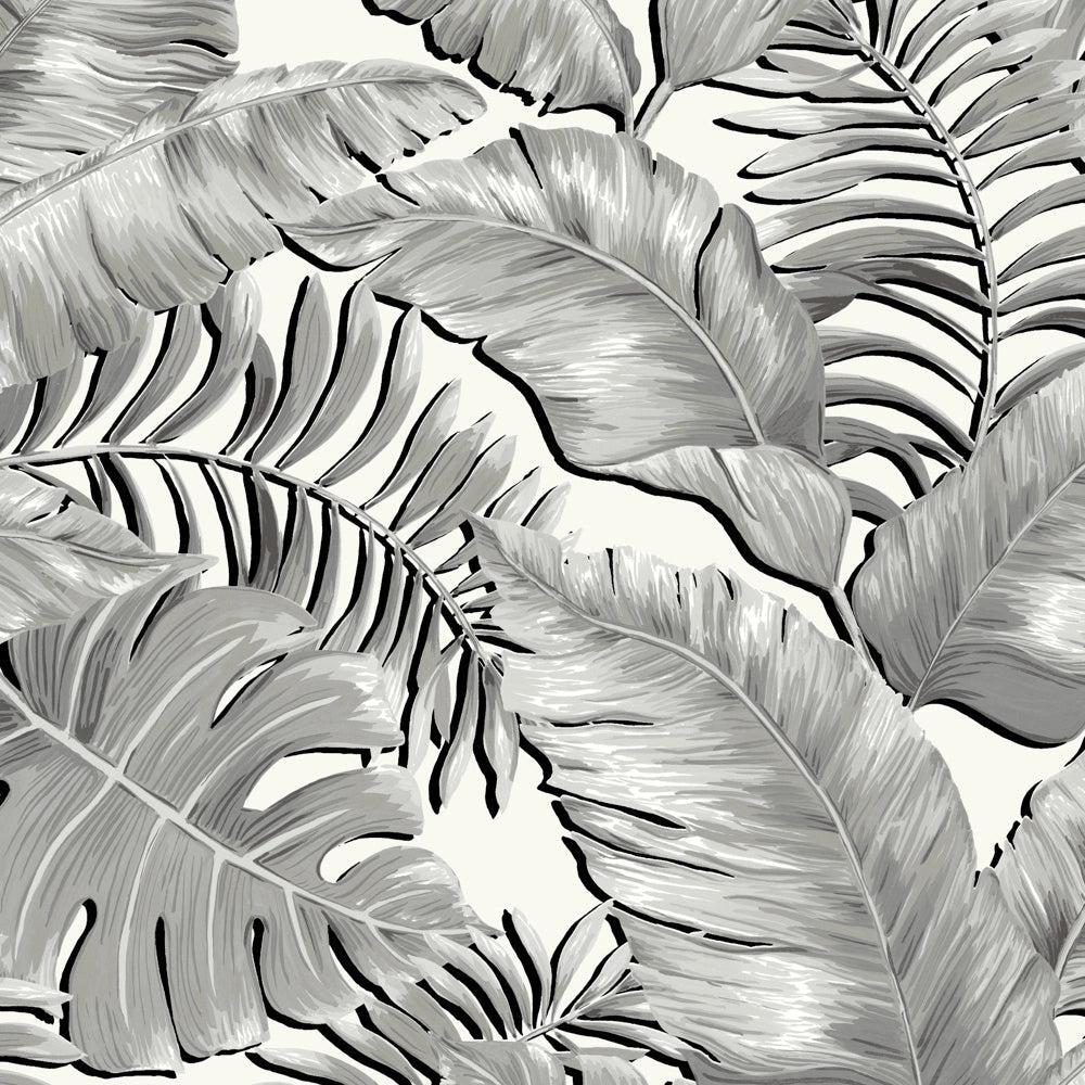 Brand McKenzie Banana Leaves Standard Black & White Wallpaper