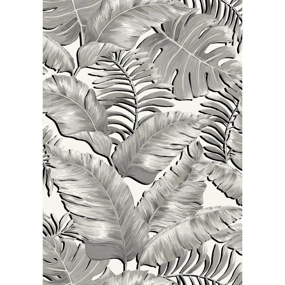 Brand McKenzie Banana Leaves Standard Black & White Wallpaper - Image 3