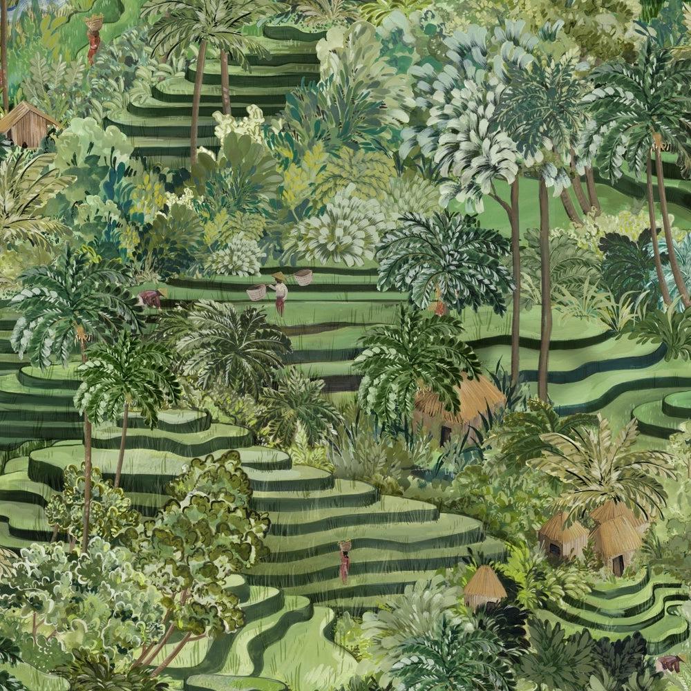 Brand McKenzie Rice Terrace Standard Grass Green Wallpaper