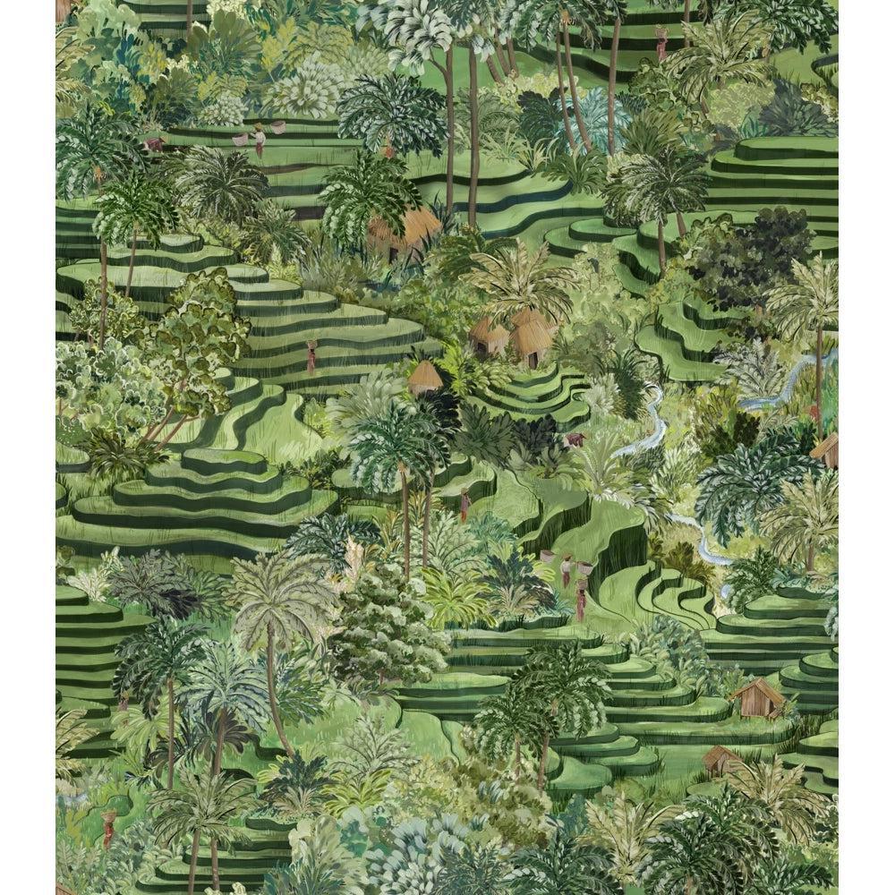 Brand McKenzie Rice Terrace Standard Grass Green Wallpaper - Image 3
