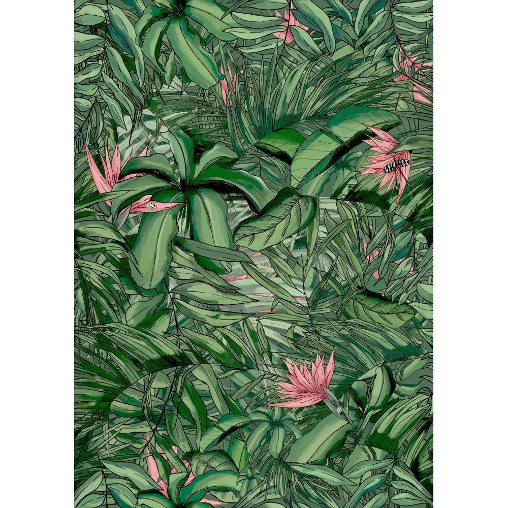 Brand McKenzie Tropical Forest Dark Green & Pink Wallpaper - Image 3