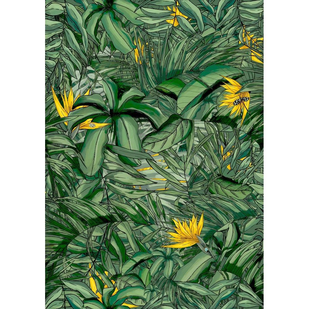 Brand McKenzie Tropical Forest Dark Green & Yellow Wallpaper - Image 3