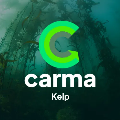 Carma Tree Donations - Image 3