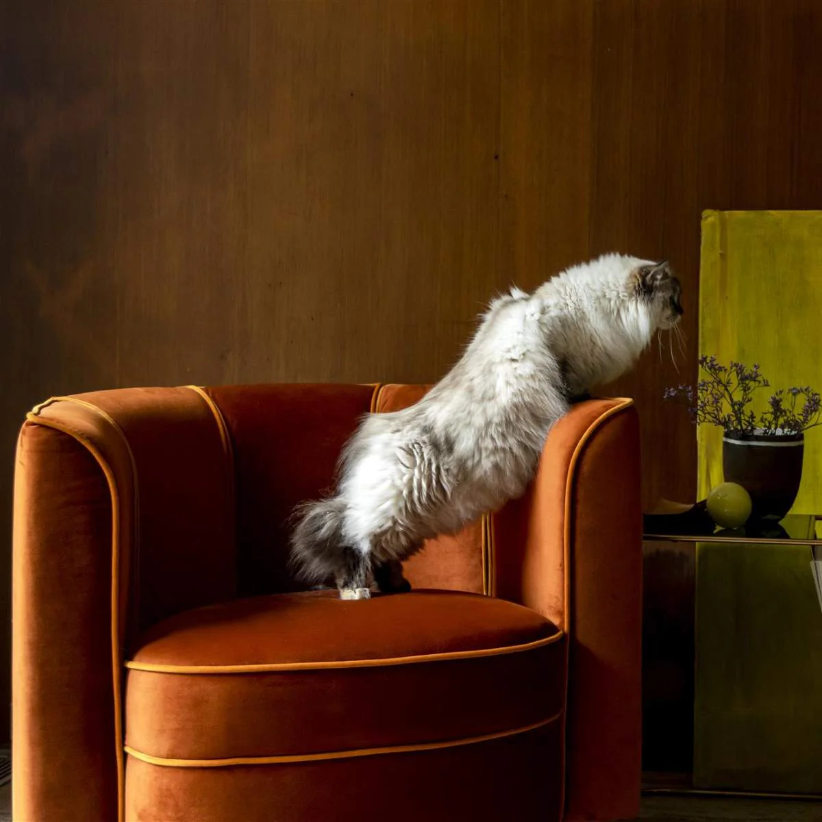 Dutch Bone Lounge Chair Flower Orange - Image 11