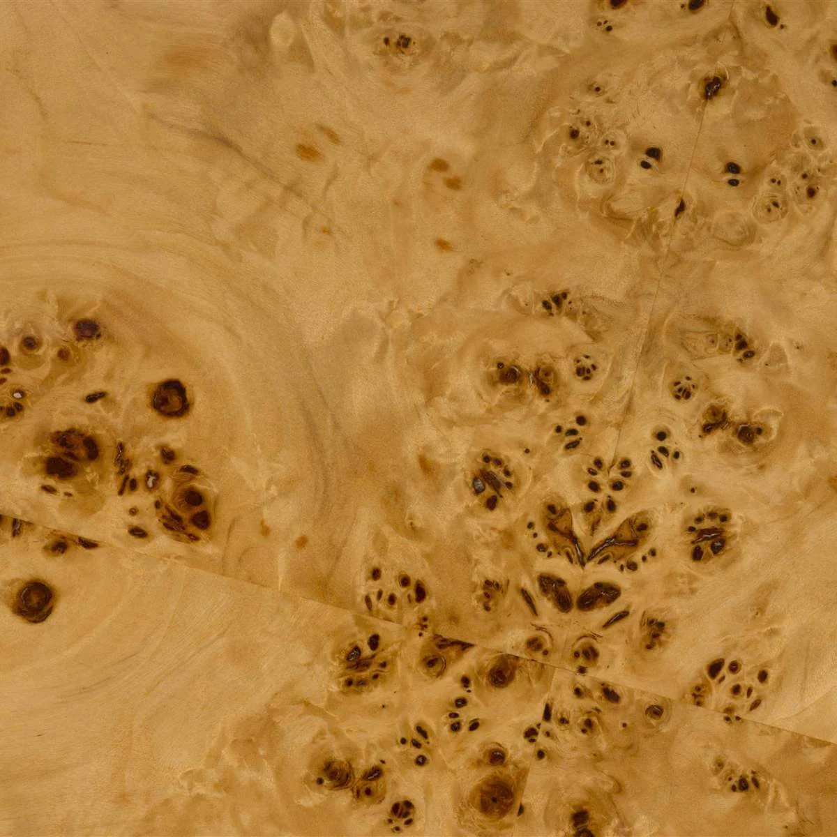 Dutch Bone Table Quinn - Image 12