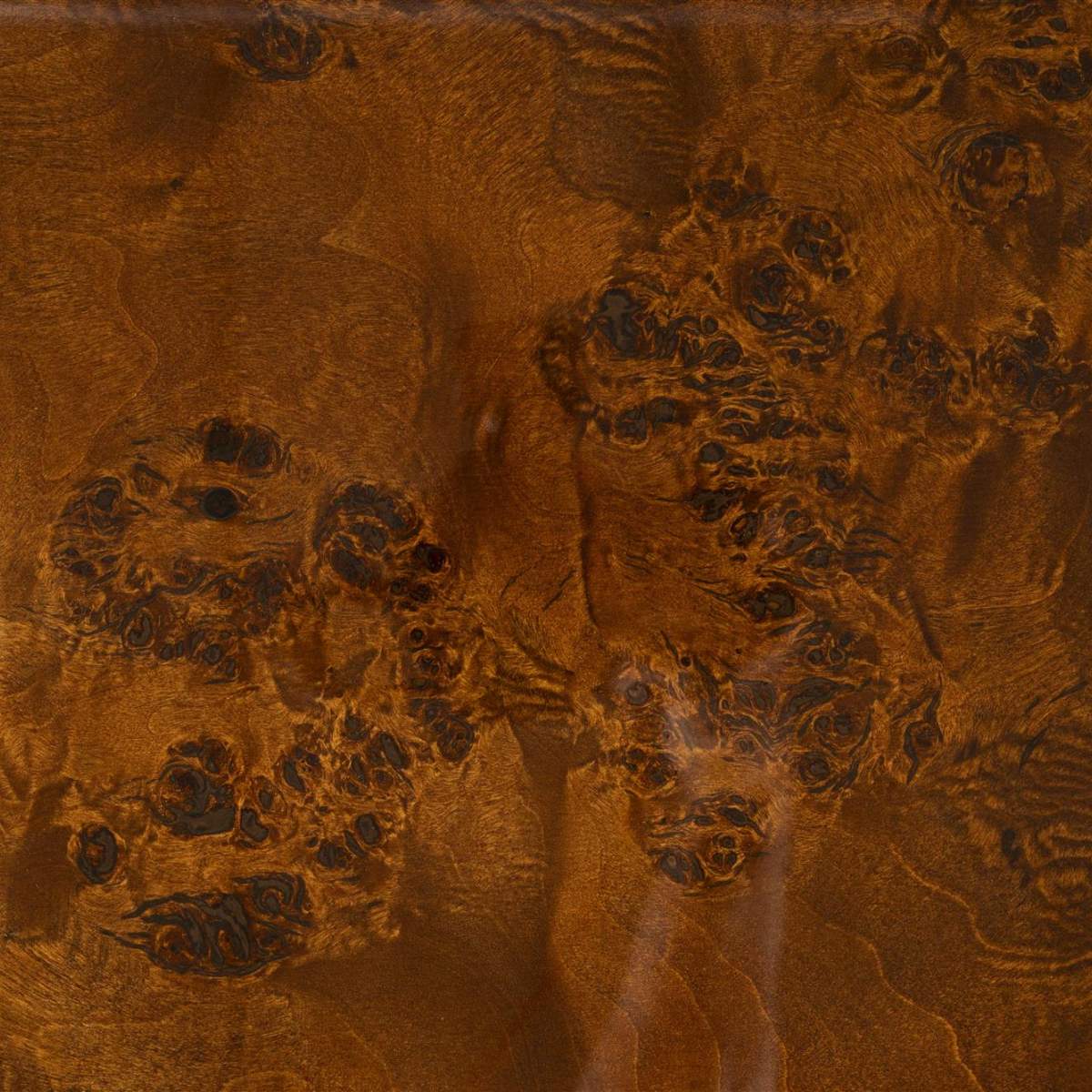Dutch Bone Table Quinn - Image 8