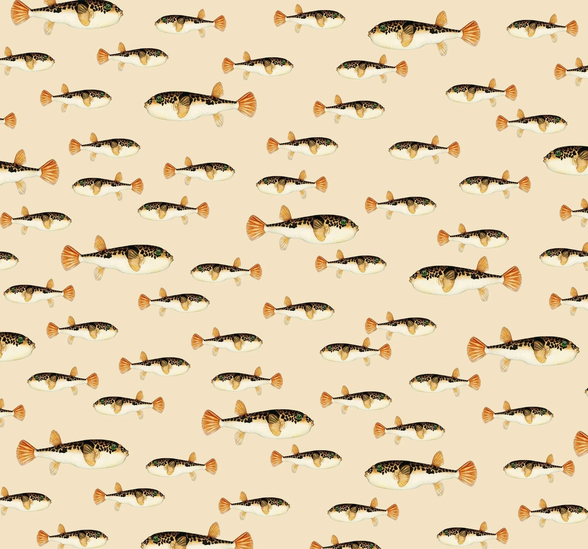 Creative Lab Amsterdam Follow My Fin Wallpaper Mural - Image 3