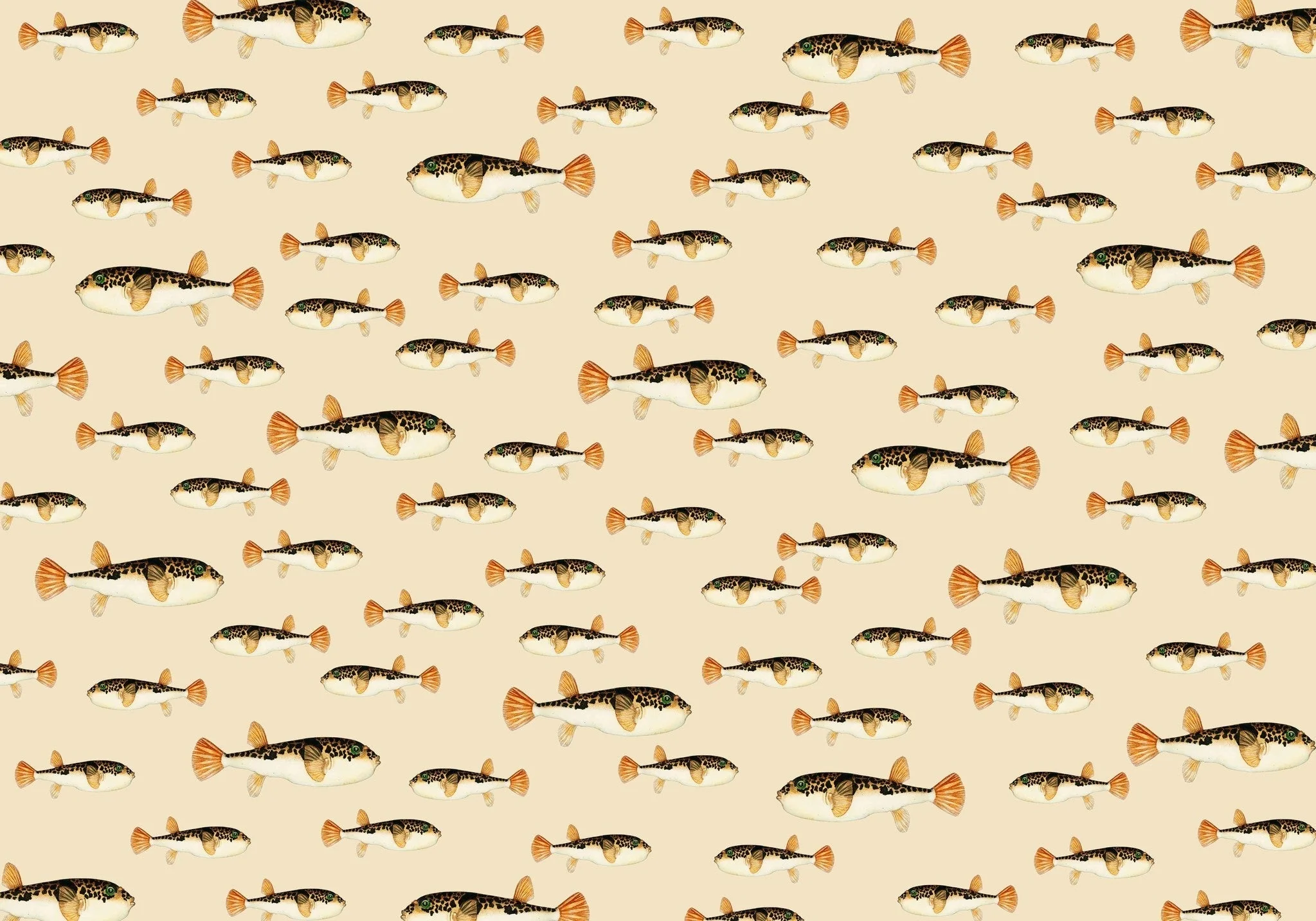 Creative Lab Amsterdam Follow My Fin Wallpaper Mural - Image 4
