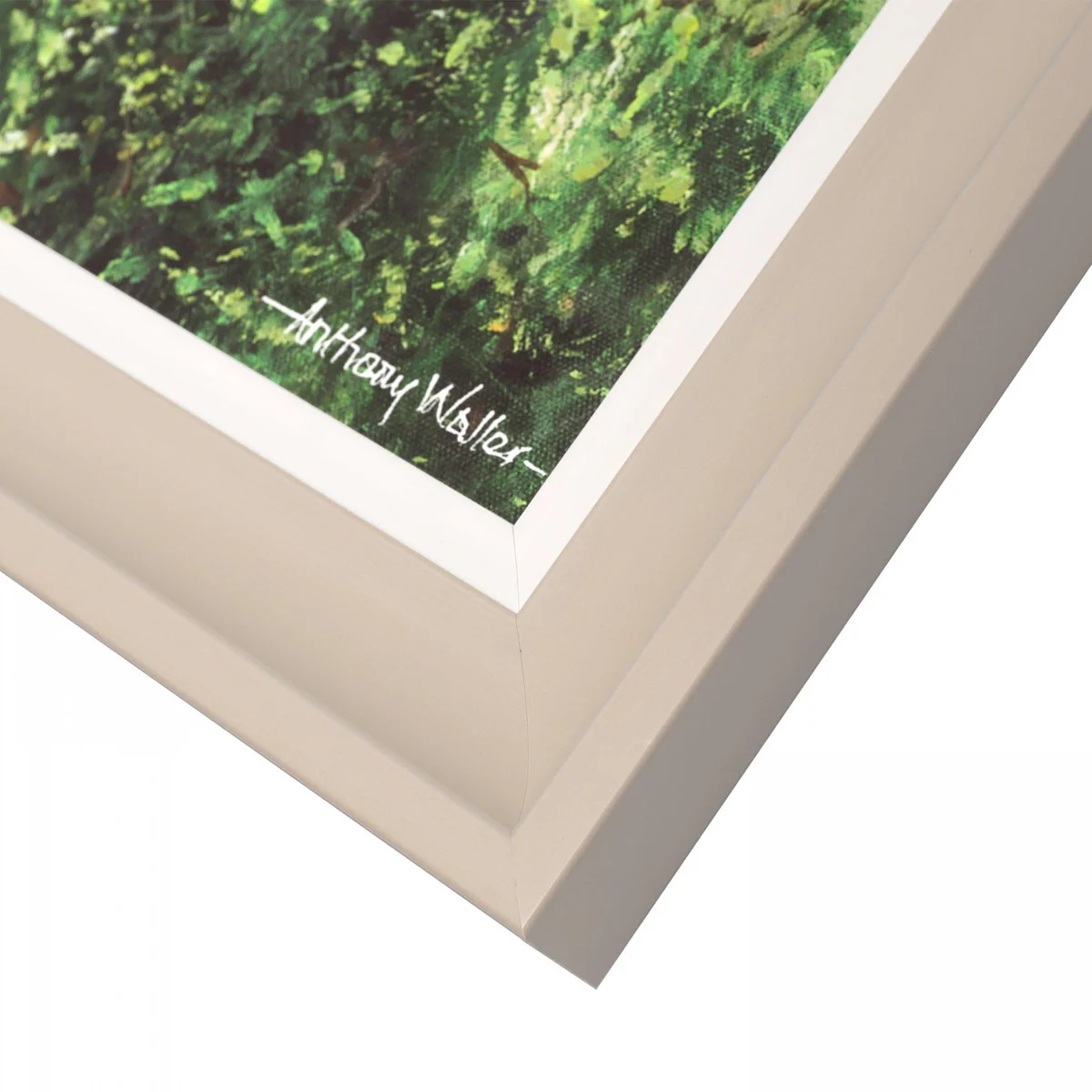Art Marketing Forest Light Picture - Image 3