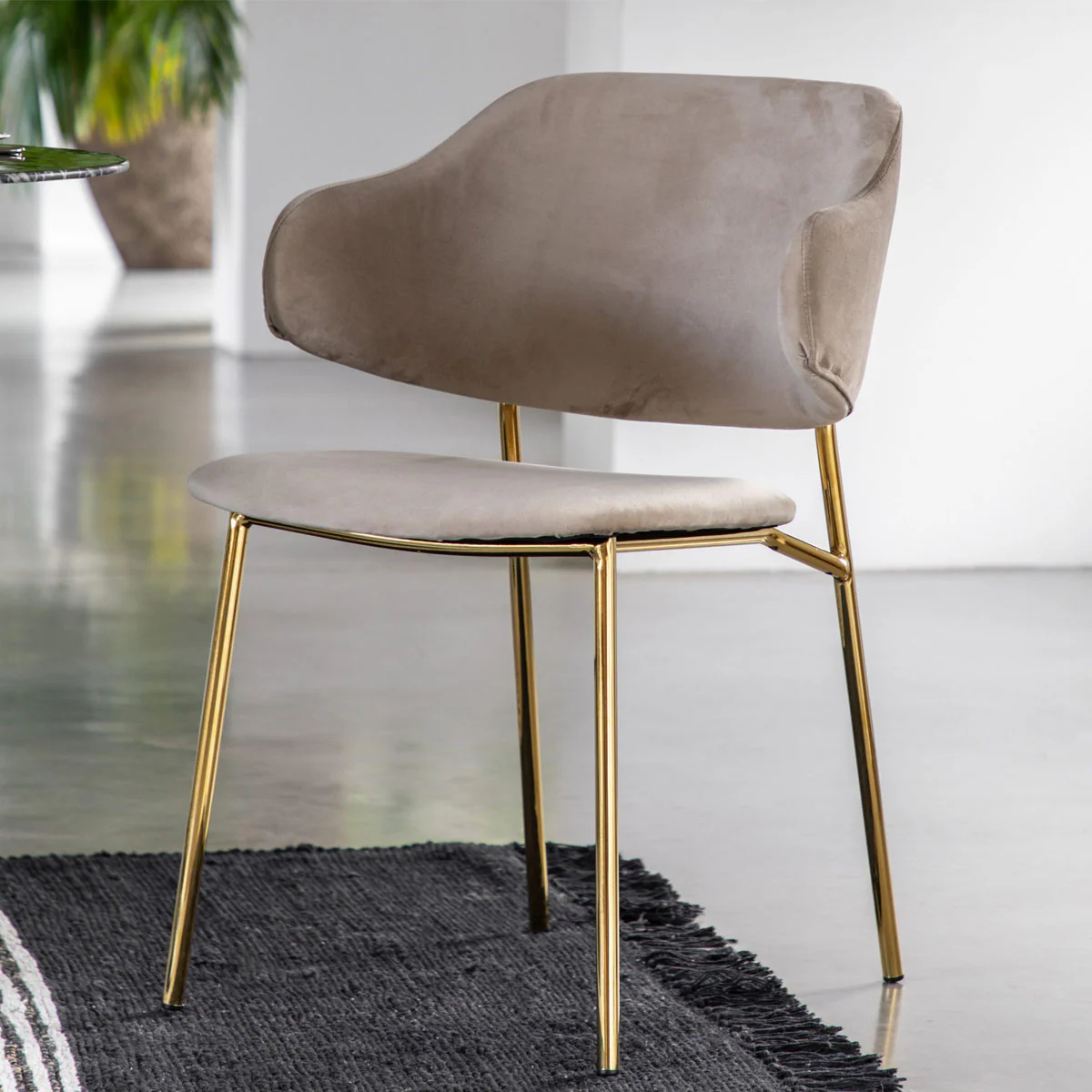 Gallery Direct Whitehall Dining Chair Taupe (2pk) - Image 4
