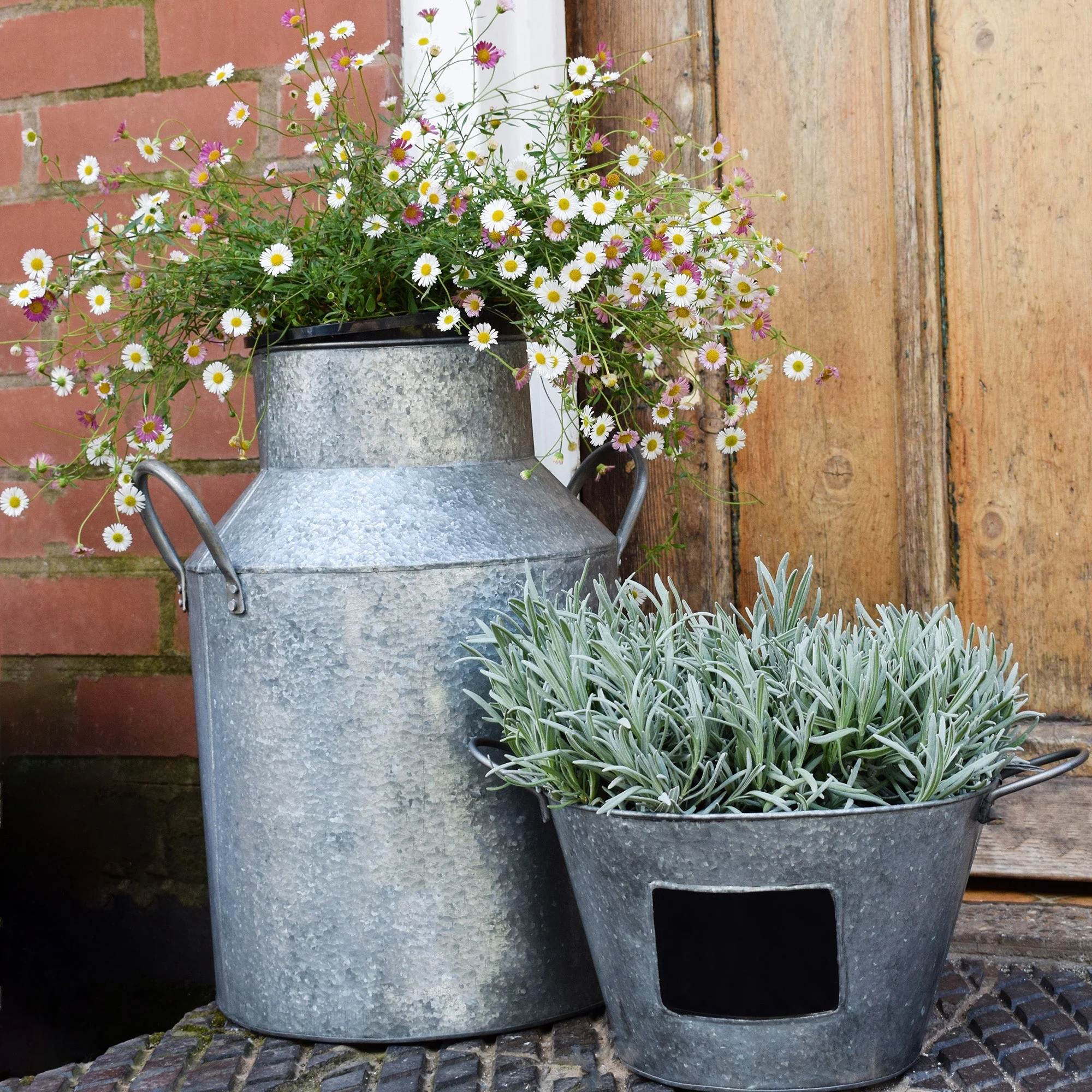 Ivyline Galvanised Milk Churn Planter - Image 2