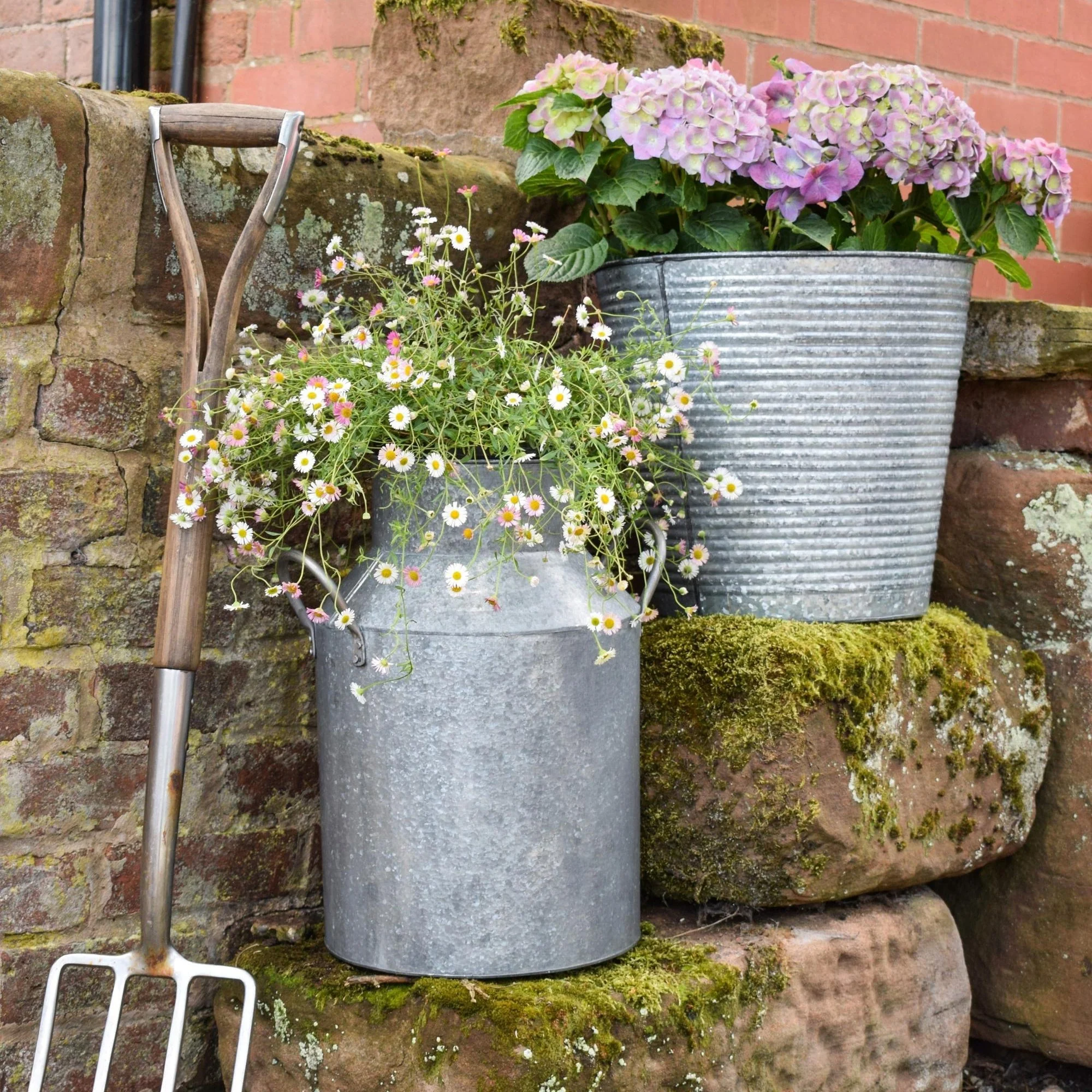 Ivyline Galvanised Milk Churn Planter - Image 3