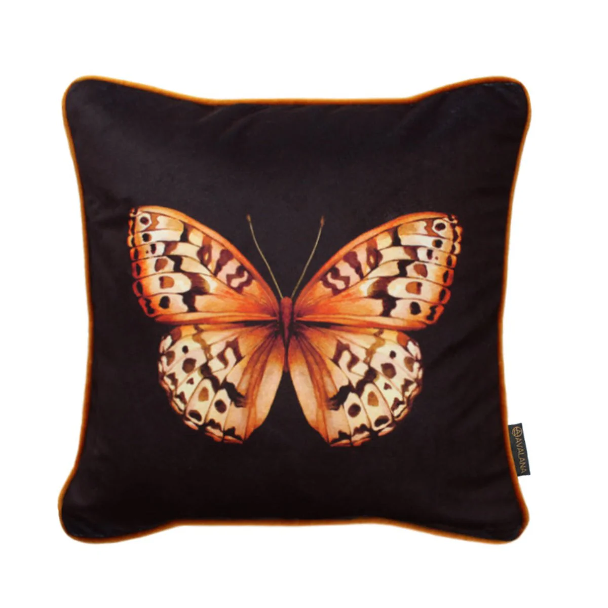Avalana Golden Papilio Piped Velvet Cushion