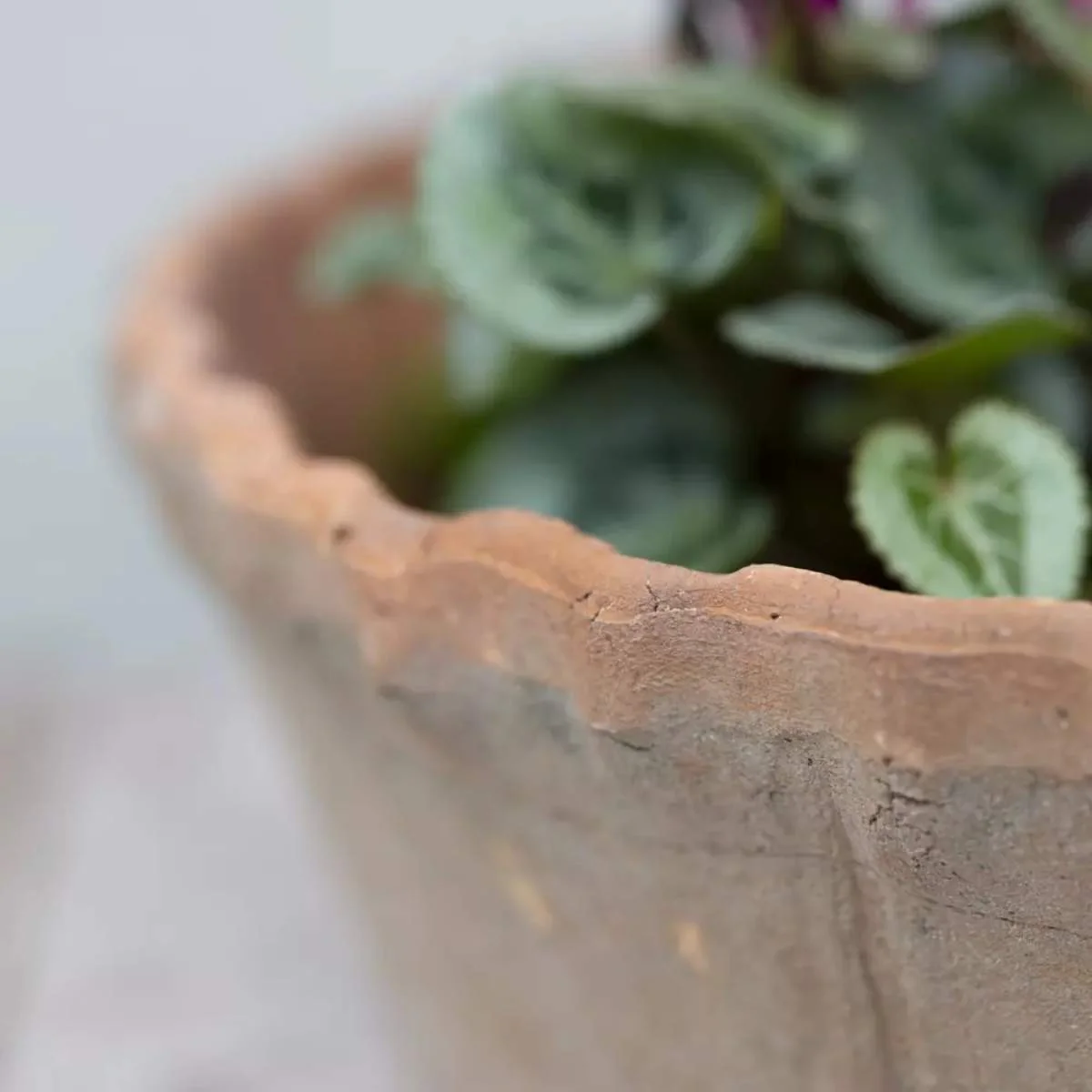 Grand Illusions Antiqued Redstone Dish Planter Frill Rim 30×10.5cm - Image 3