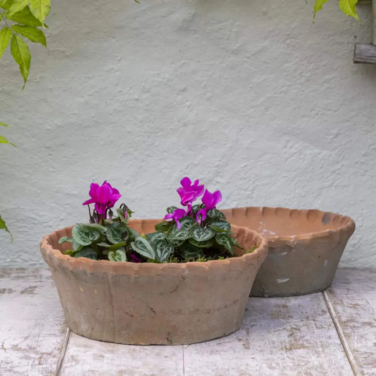 Grand Illusions Antiqued Redstone Dish Planter Frill Rim 30×10.5cm - Image 4