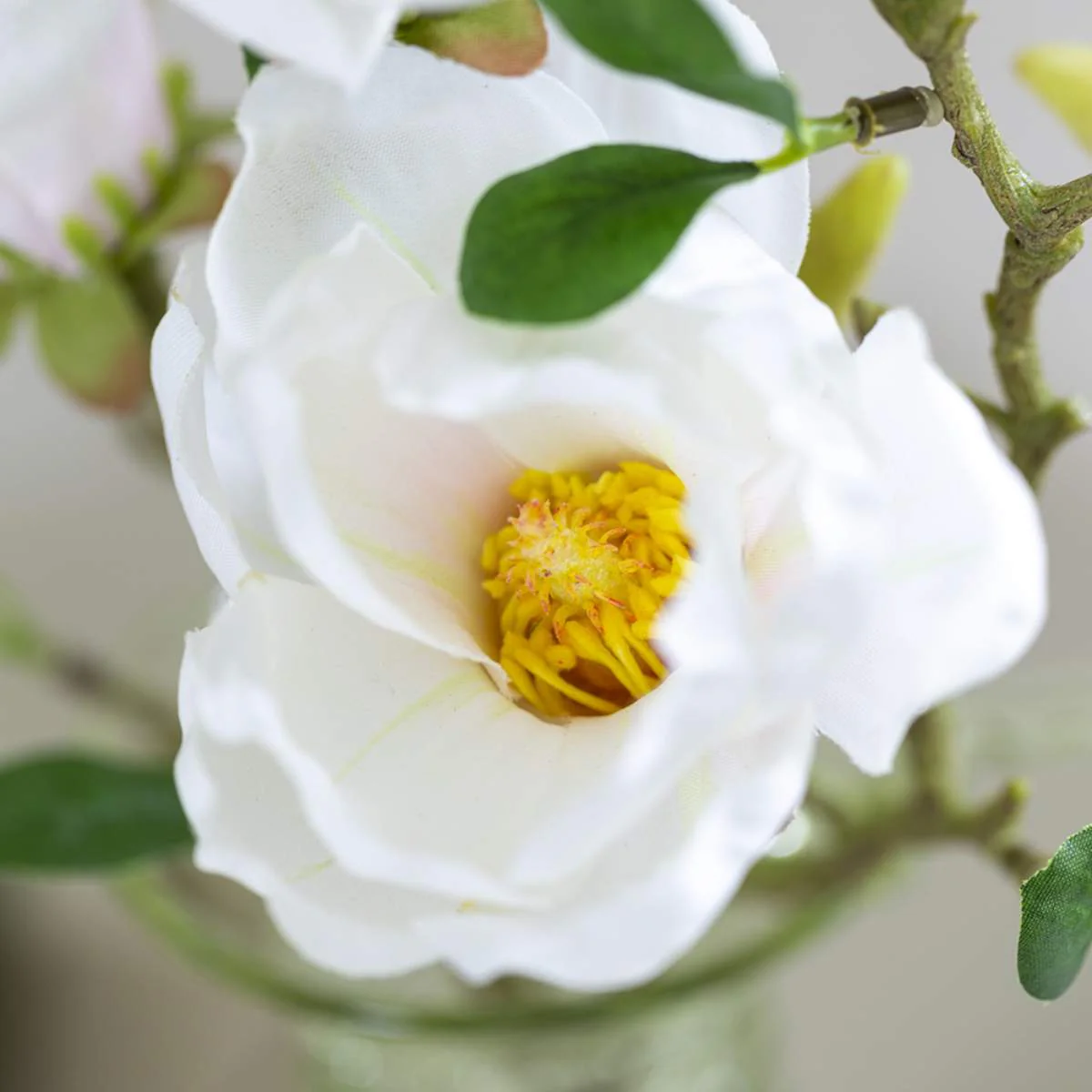 Grand Illusions Magnolia Stem - Image 2