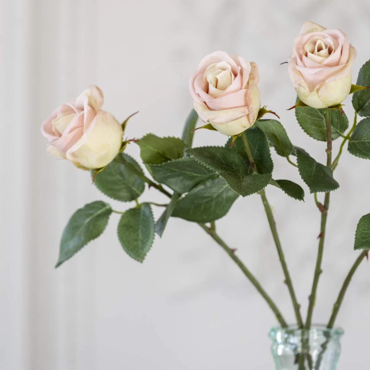 Grand Illusions Rose Apple White - Image 4