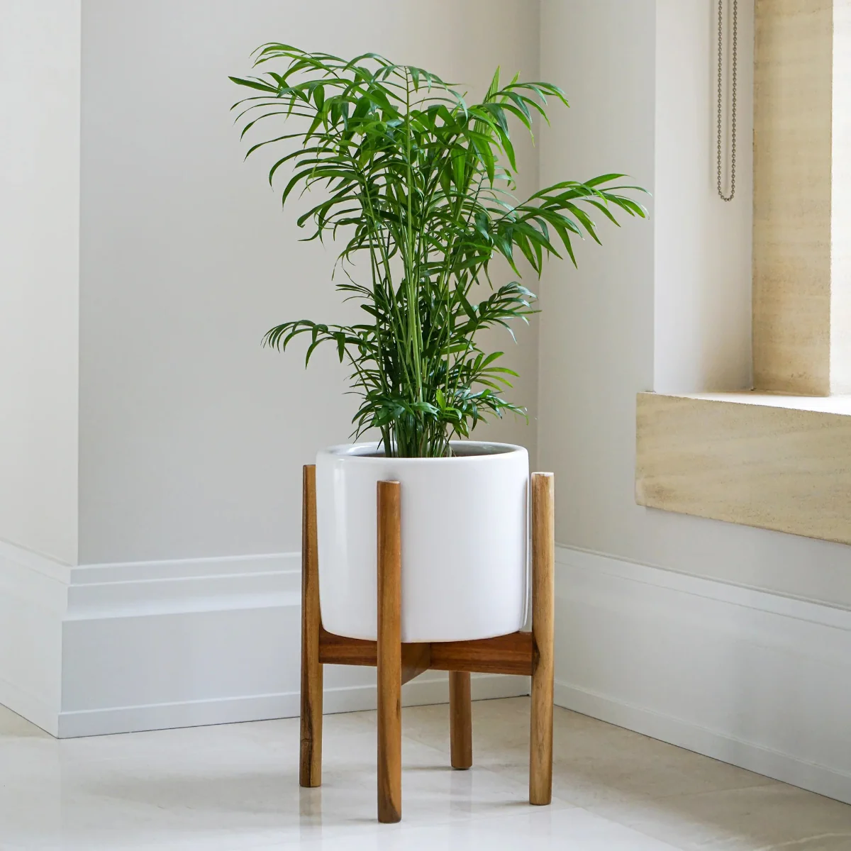Ivyline Anzio Planter With Wooden Stand In Stone White - Image 3