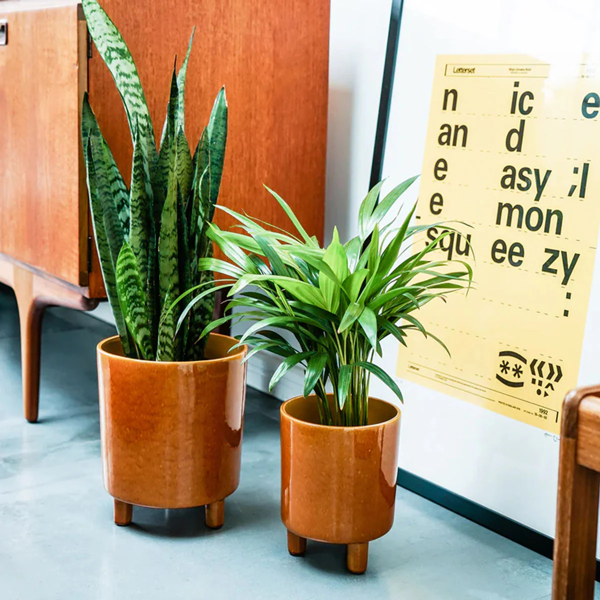 Ivyline Pisa Planter - Image 11