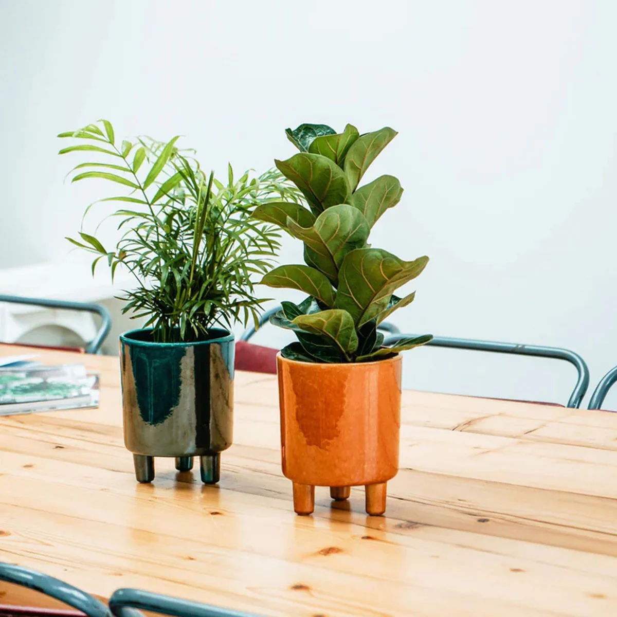 Ivyline Pisa Planter - Image 14