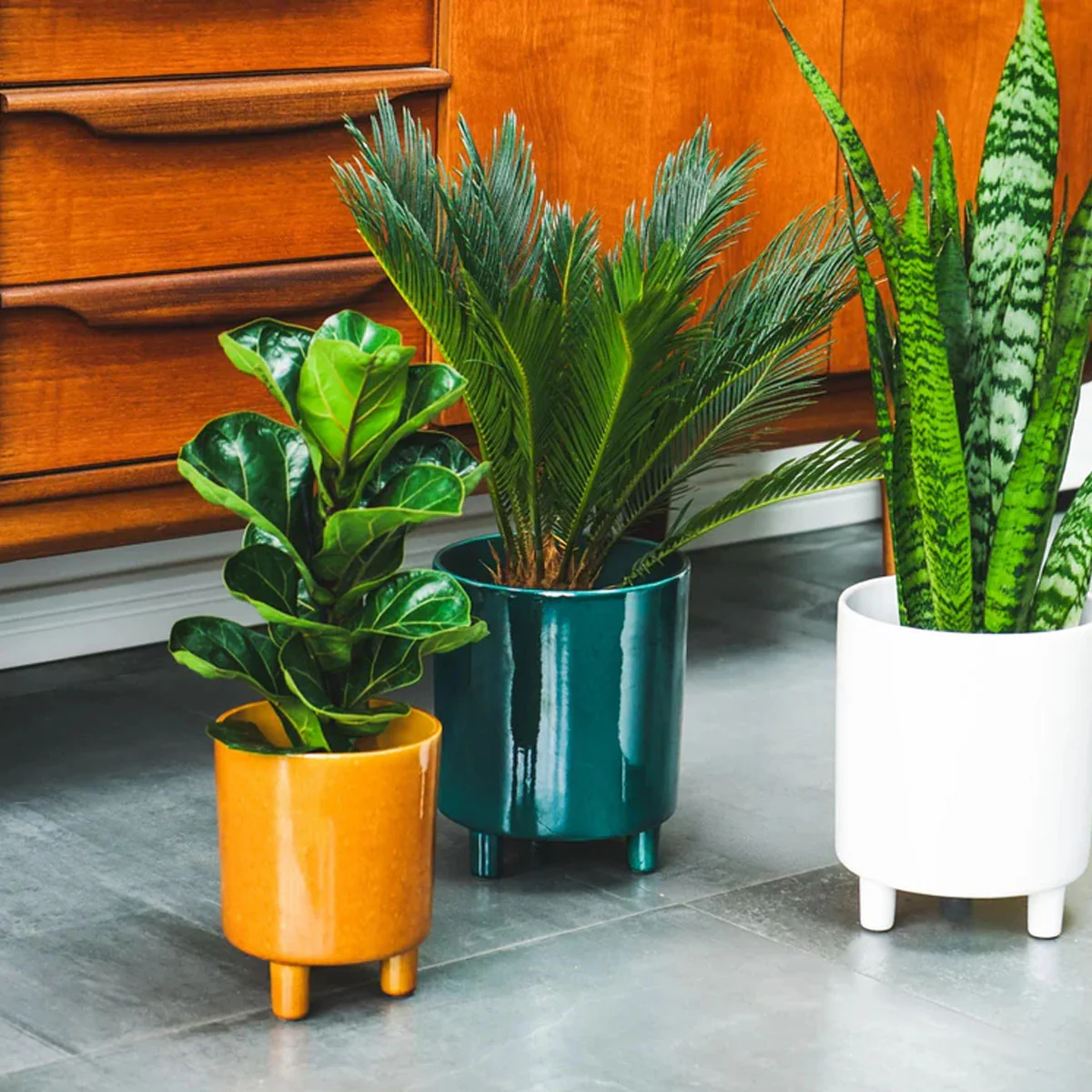 Ivyline Pisa Planter - Image 15
