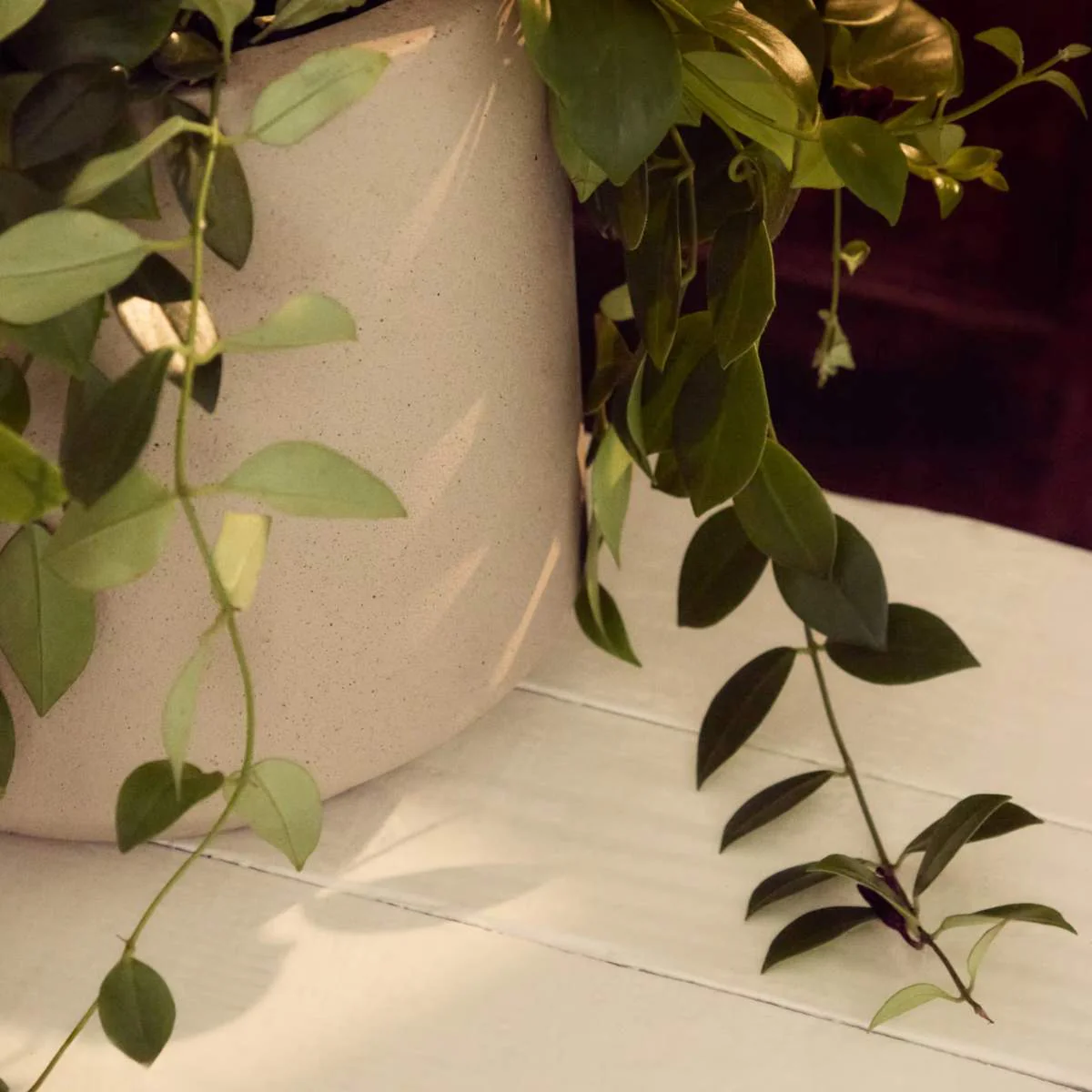 Kave Home Calun beige cement planter Ø 32cm - Image 10