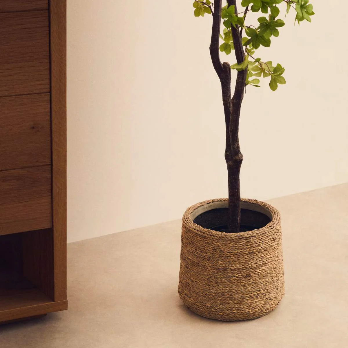 Kave Home Sigal set of 2 cement plant pots in a natural finish, Ø 24 cm / 31 cm - Image 5