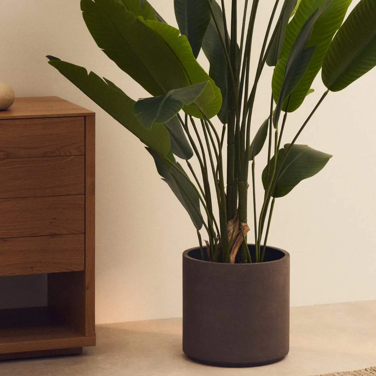 Kave Home Sintina set of 3 grey cement and fiberglass plant pots Ø 23 cm / Ø 27.5 cm / 32 cm - Image 5
