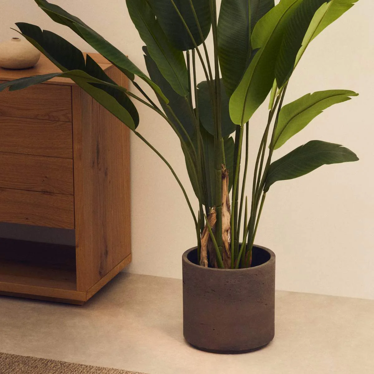 Kave Home Sintina set of 3 grey cement and fiberglass plant pots Ø 23 cm / Ø 27.5 cm / 32 cm - Image 6