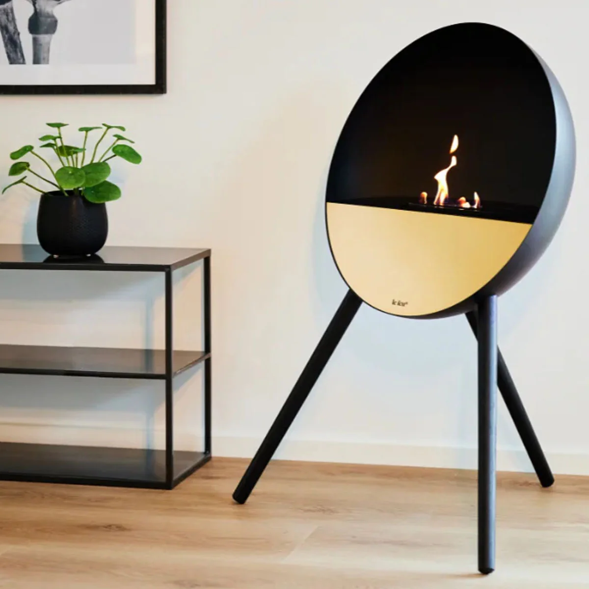 Le Feu Eye - Black - Image 4