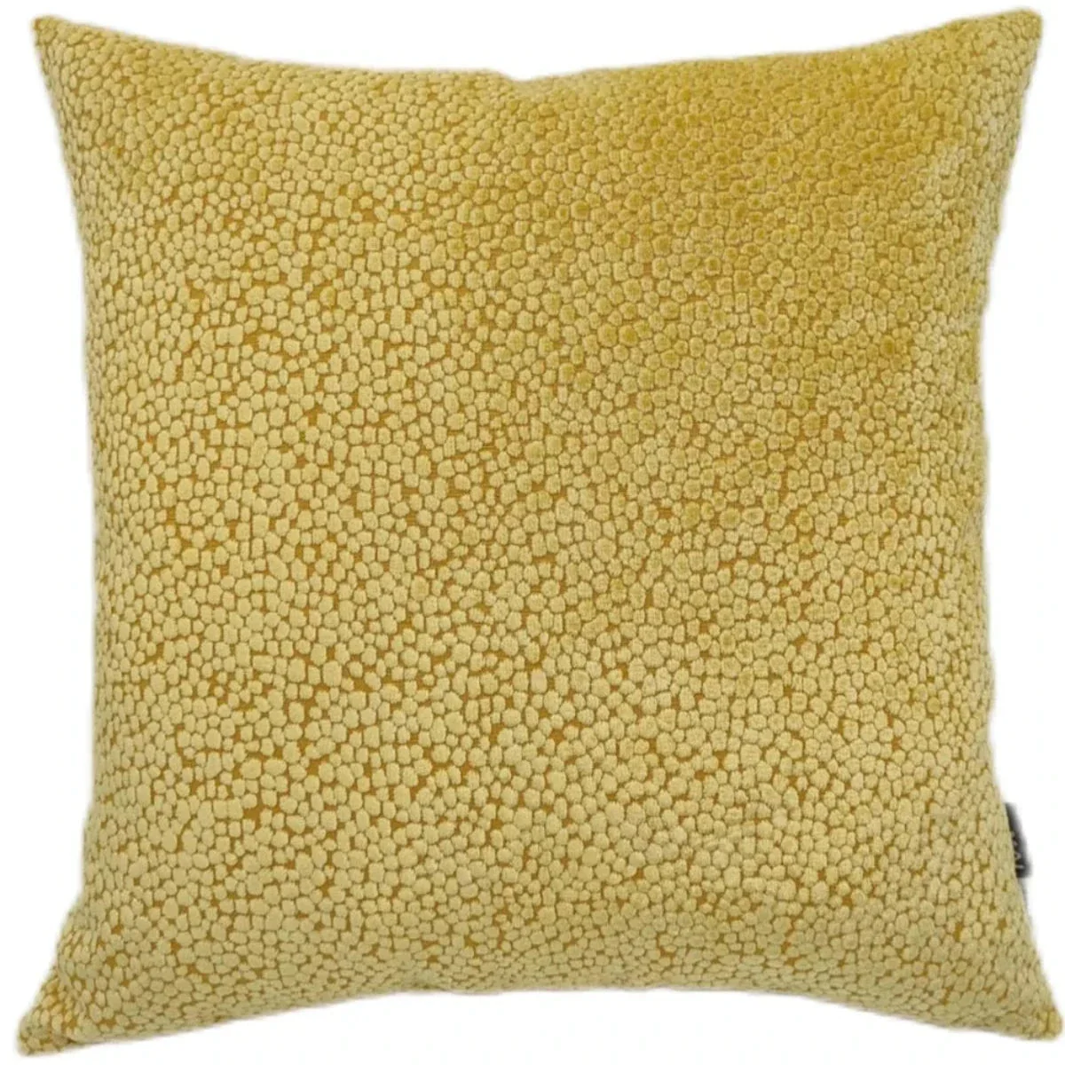 Malini Bingham Cut Velvet Cushion In Gold - Image 2