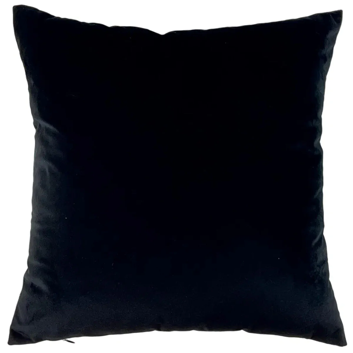 Malini Featherfolk Cushion - Image 2