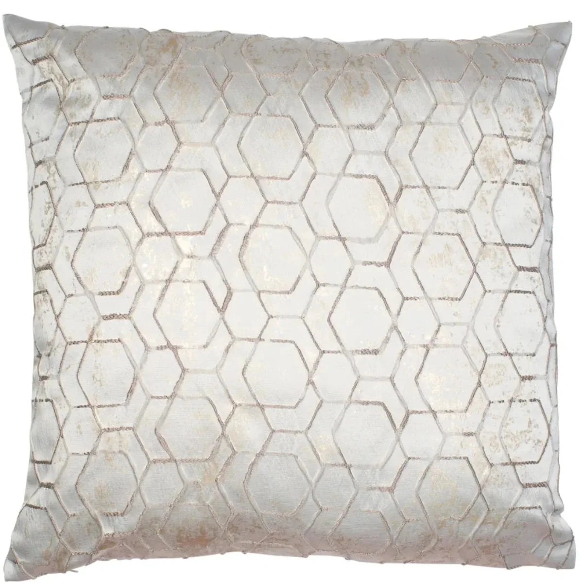 Malini Jaan Cushion